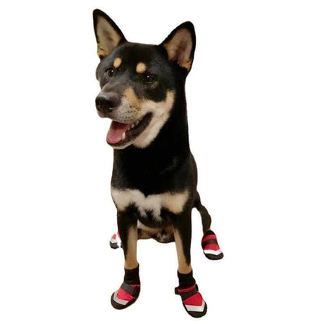 L Size Dog Shoes - Yorkn Inc✅