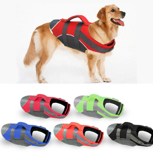 Pet Swimming Training Jacket - Yorkn Inc✅