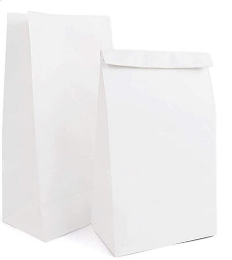 Pharmacy Paper Bag - Yorkn Inc✅