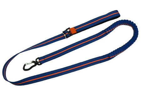 Reflective Leash - Yorkn Inc✅