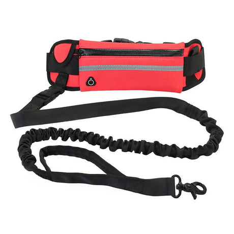 Retractable Dog Leash With Waist Bag - Yorkn Inc✅