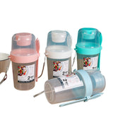 Sandwich Plastic Container - Yorkn Inc✅