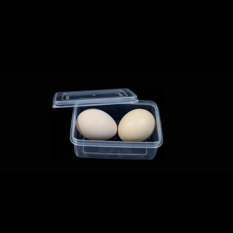 Small Plastic Case - Yorkn Inc✅