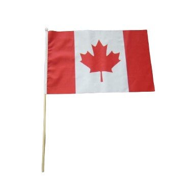 Small Pole Flag - Yorkn Inc✅