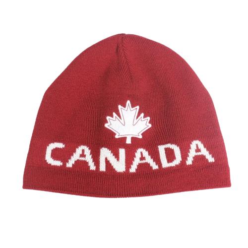 Unisex - adult Womens Beanie - Yorkn Inc✅