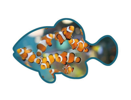 Wooden Token - Yorkn Inc✅