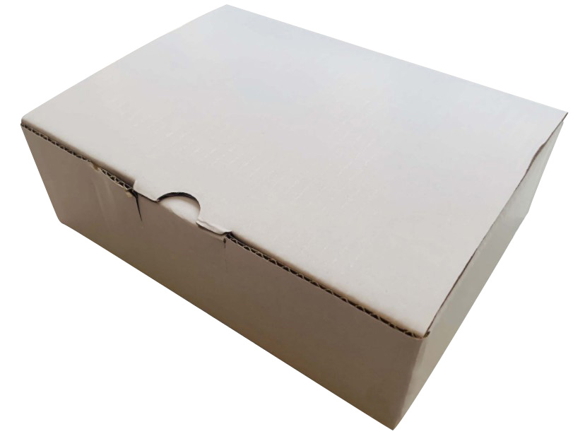 Cardboard Gift Box