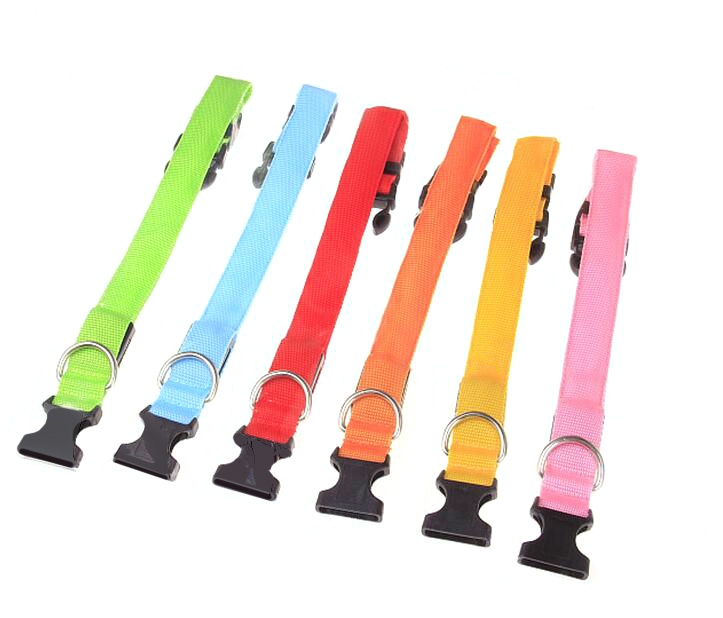 Collier de chien led