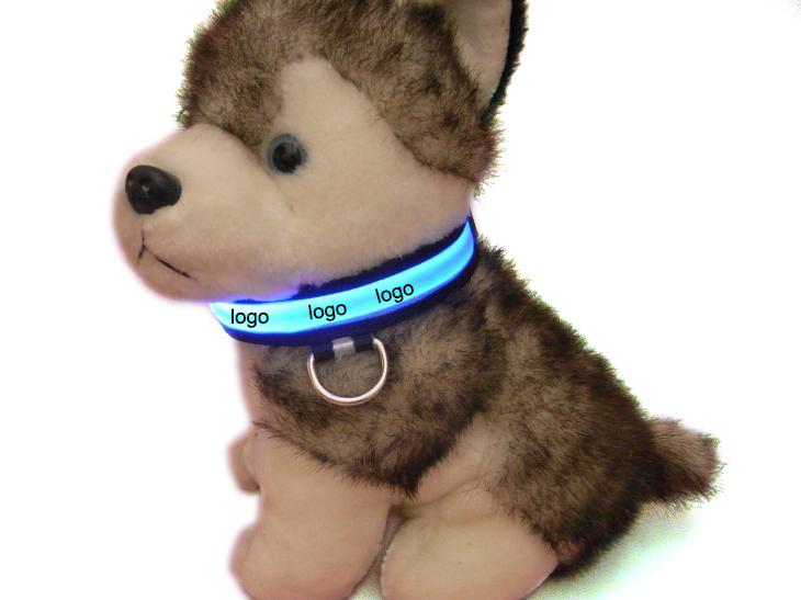 Collier de chien led
