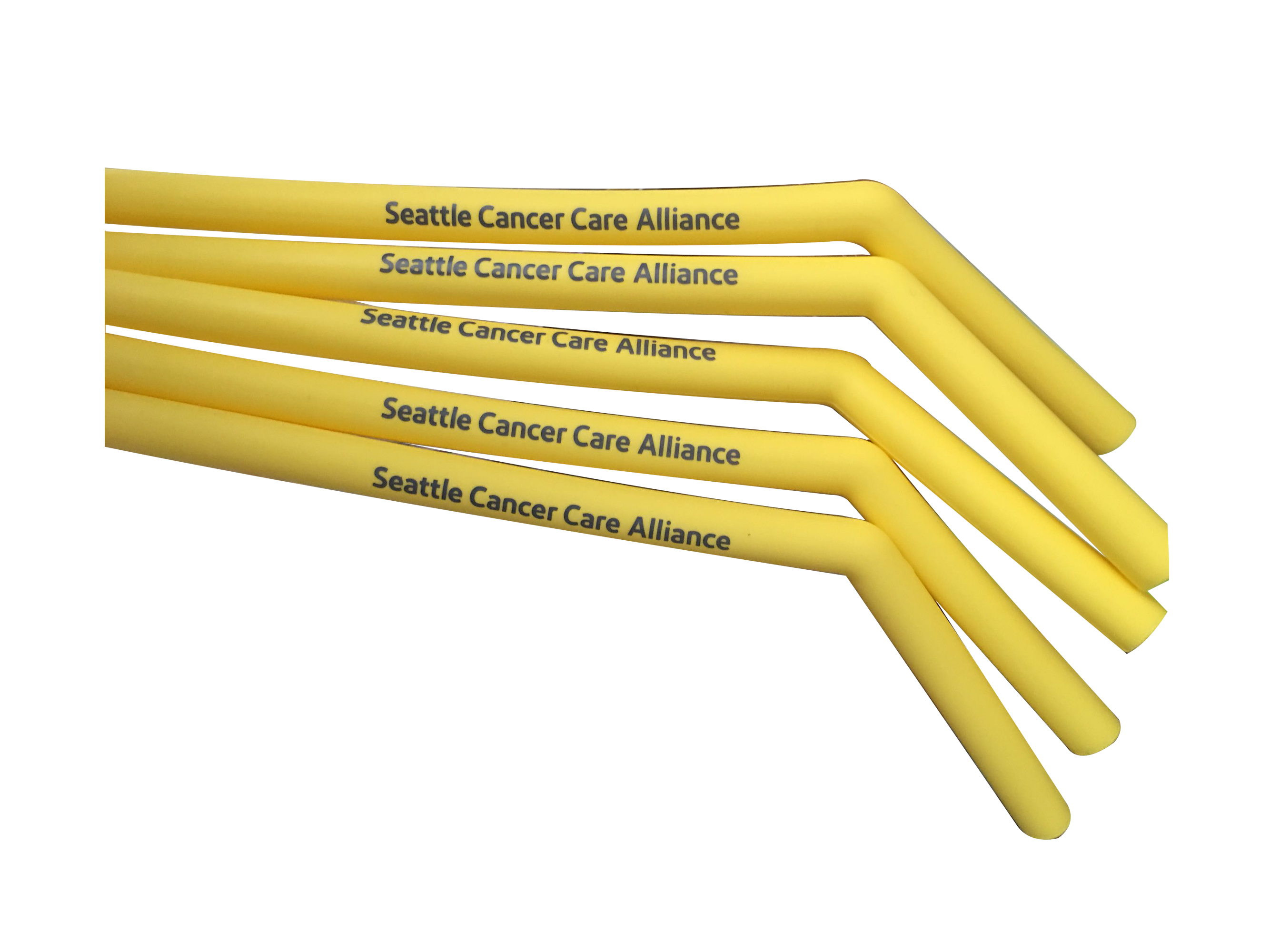 Stainless And Silicone Straws Suit