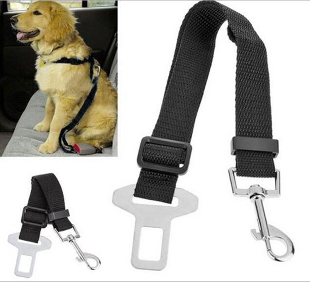 Laisse pour chiens pour voitures