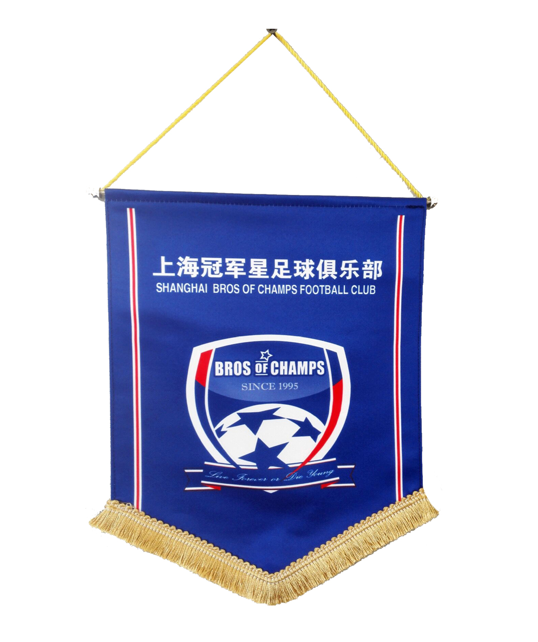 Drapeau pennant