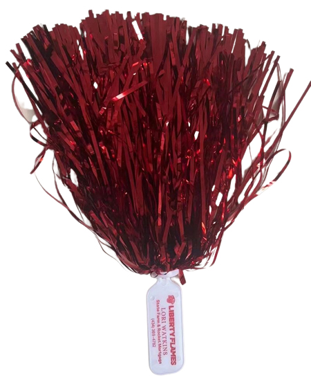 Animadoras pom pom