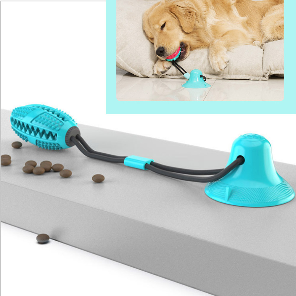 Ventouse corde interactive chien jouet