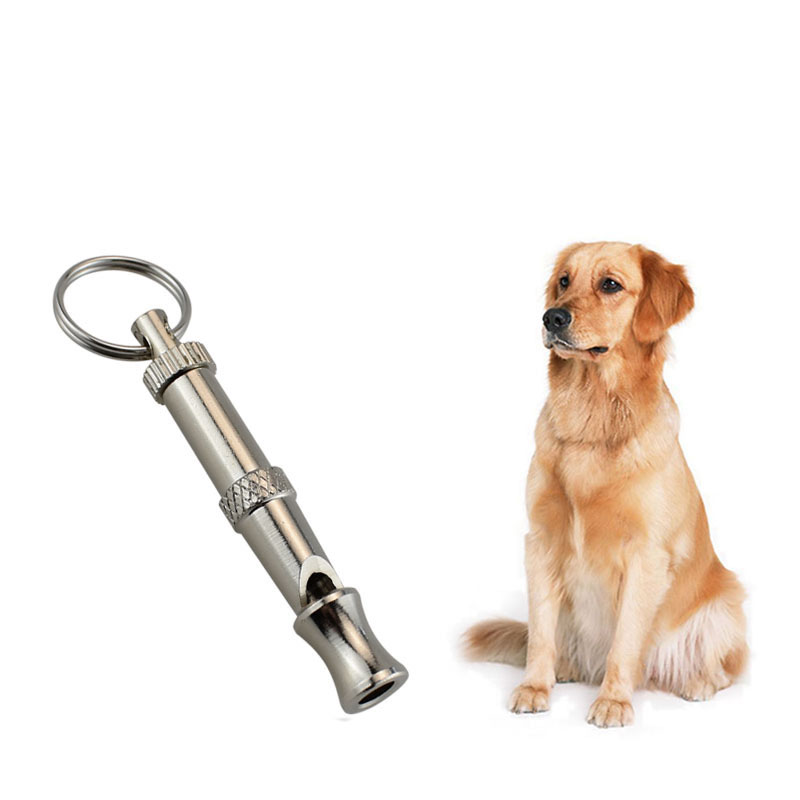 Sifflement pour la formation des animaux de compagnie