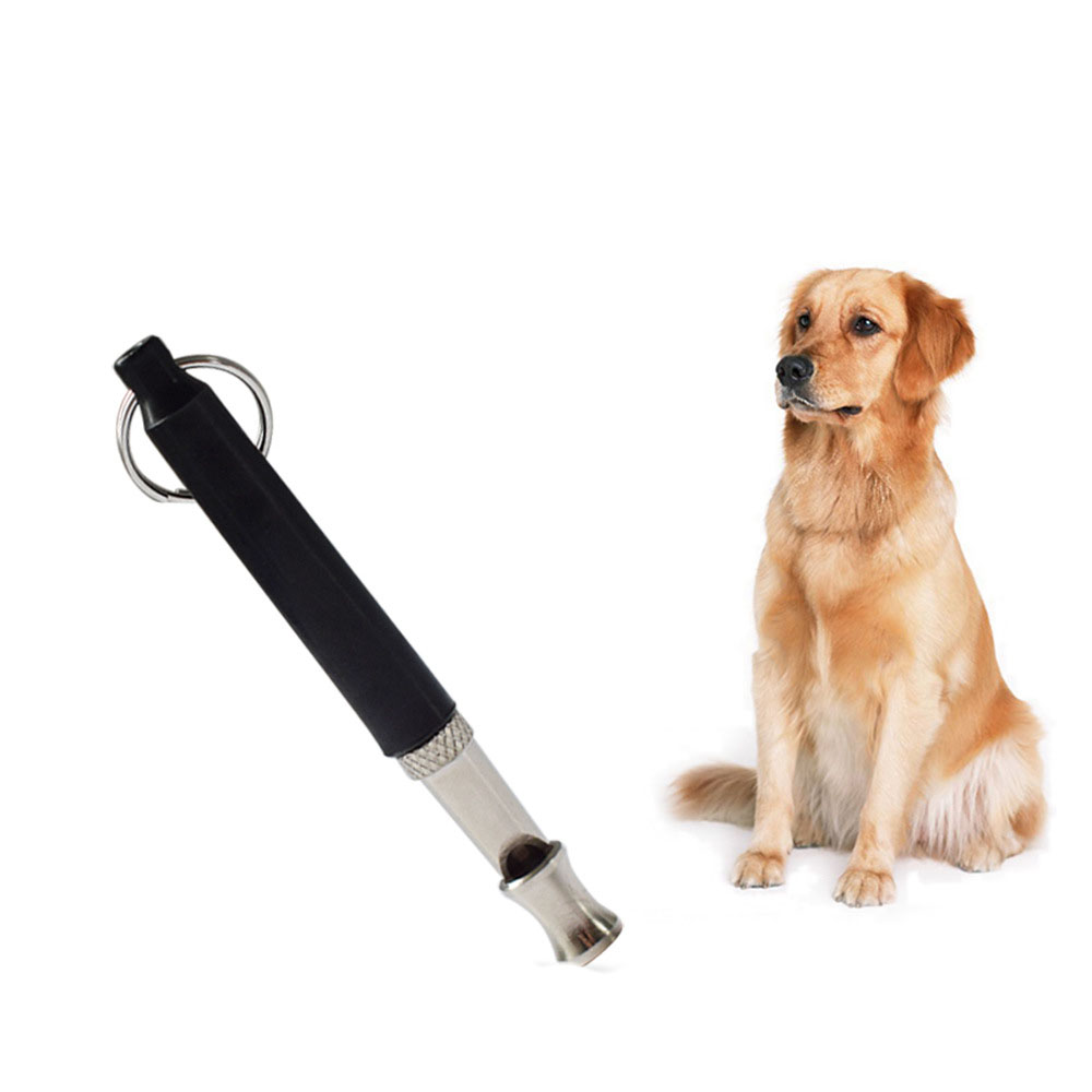 Sifflet de formation de chien