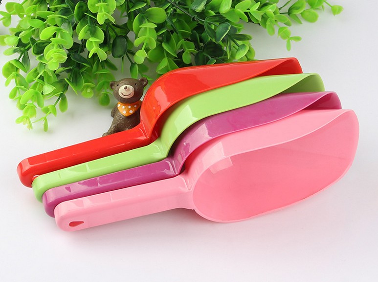 Mascota perro comida scoop