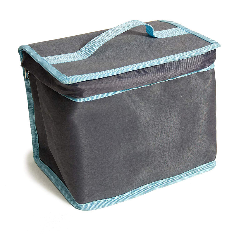 Lunch Cooler Bag