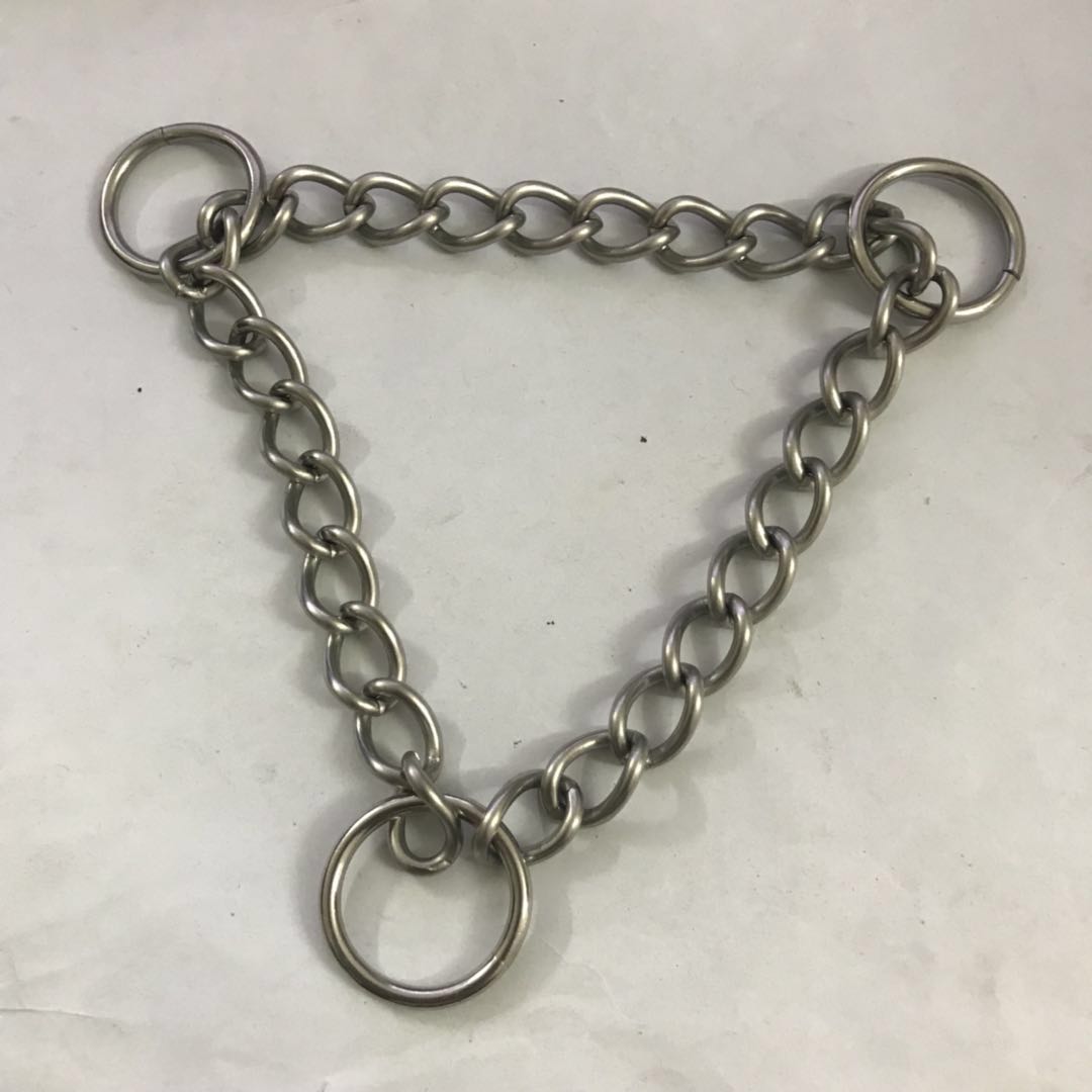 Accessoires en laisse pour chiens