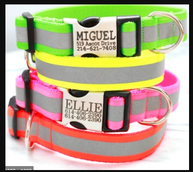 Cols moyens pour chiens