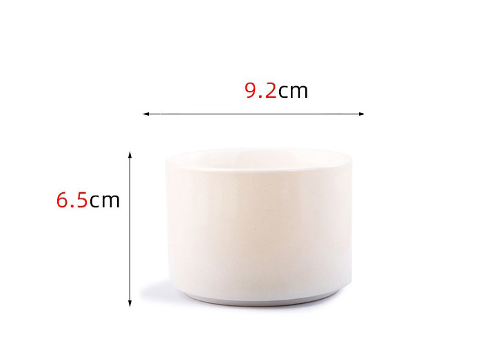 Ceramic Pot