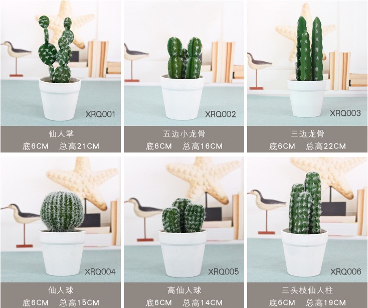 Cactus de espuma
