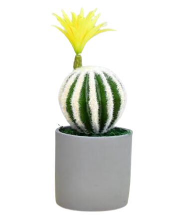 Cactus falsos 12 pulgadas