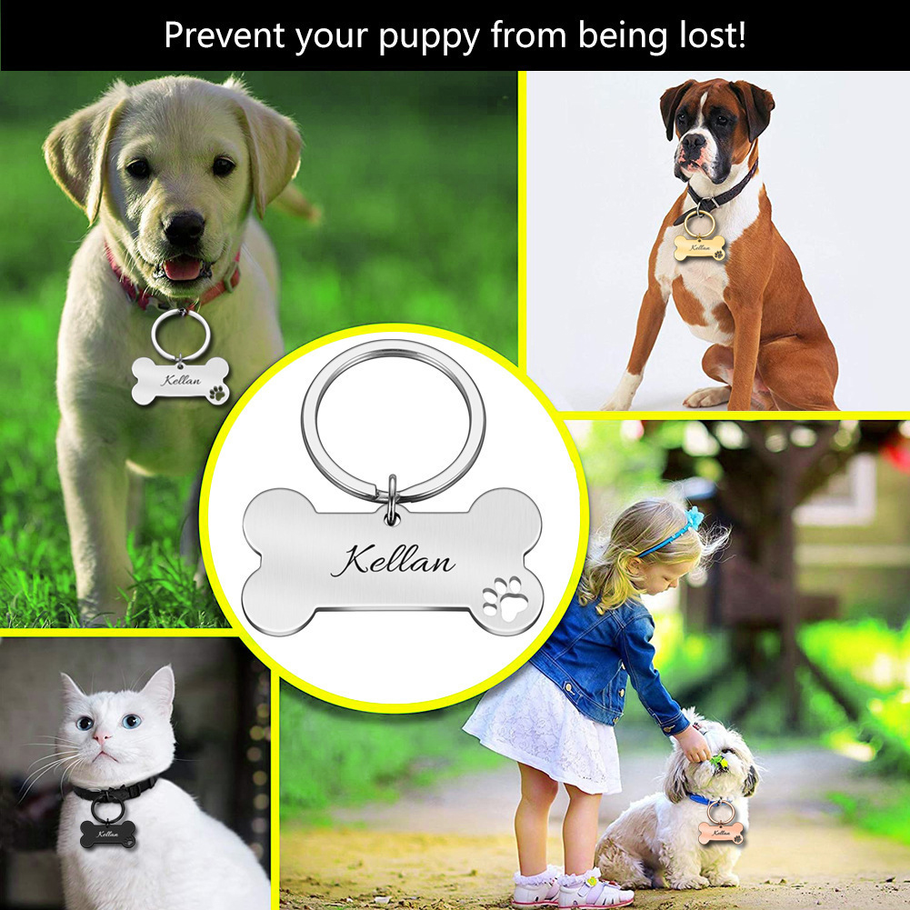Id tag chien view 2