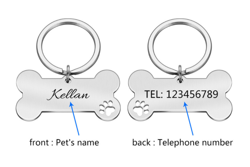 Id tag chien view 3