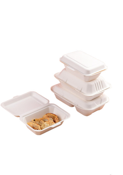 Biodegradable Packing Box