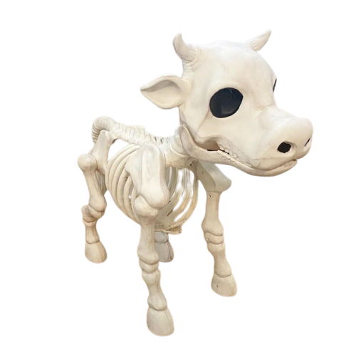 Animal Skeleton