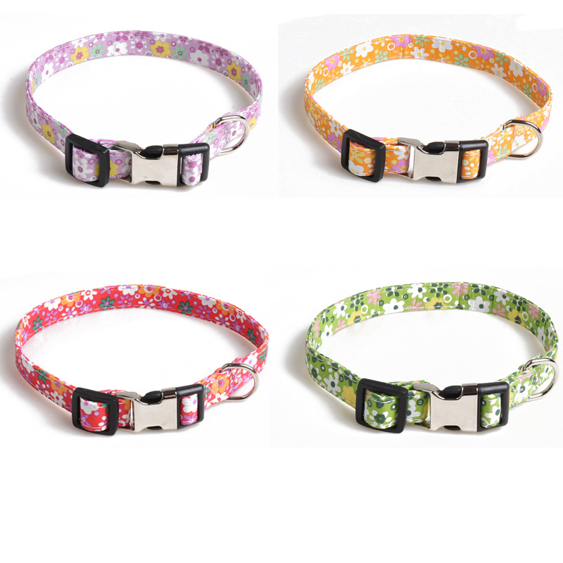 Collier de chien