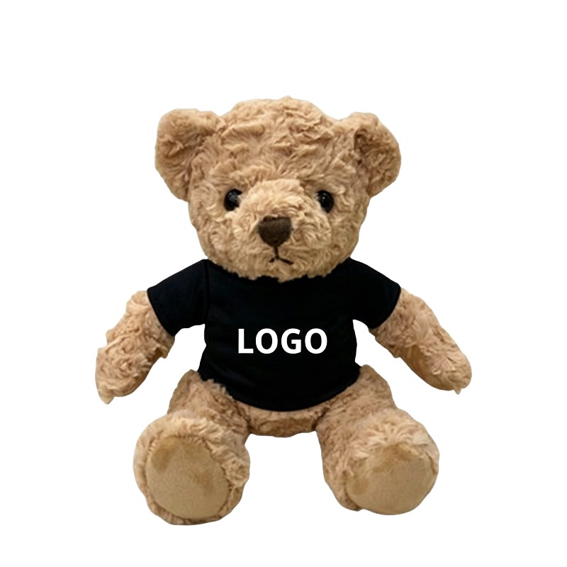 Teddy Plush Toy