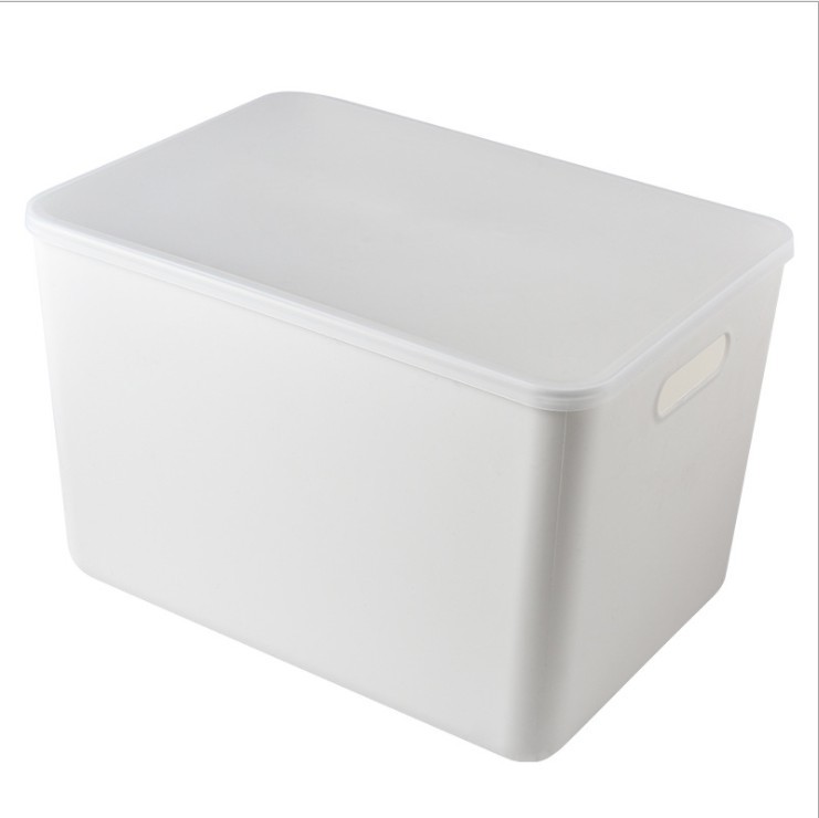 Dust Proof Storage Box