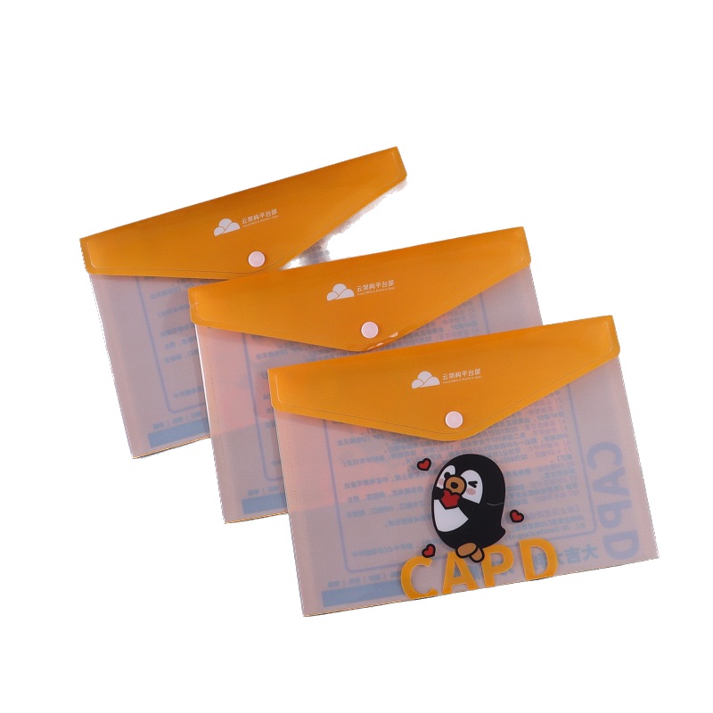 Folder Envelope