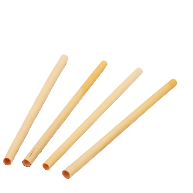 Paille de roseau jetable