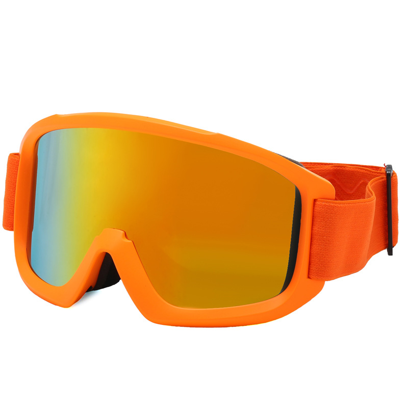 Lunettes de ski de protection