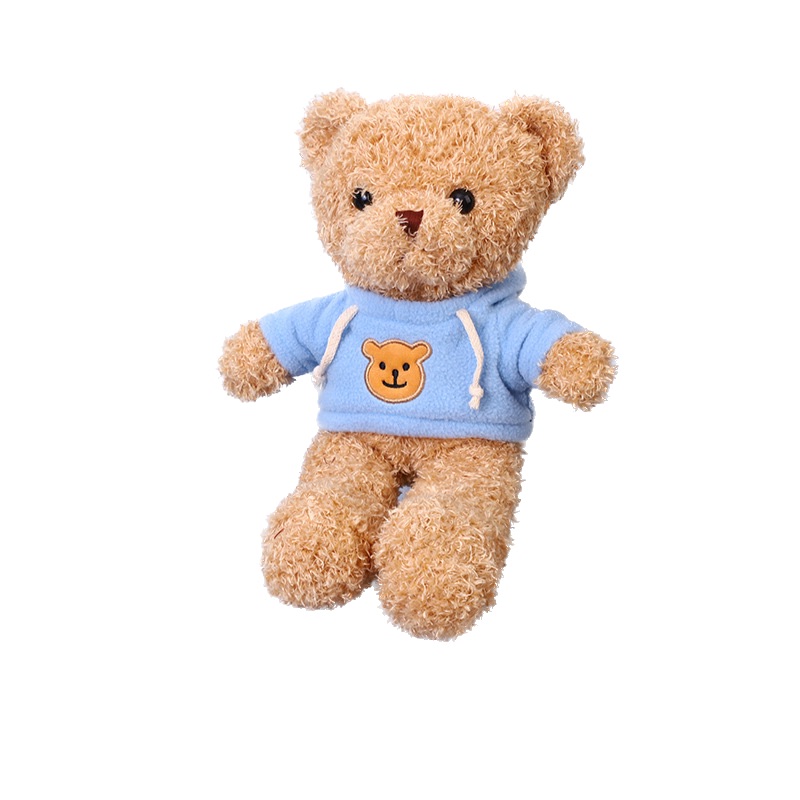 Small Toy Teddy Bear
