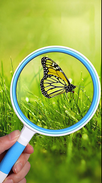 Hand Held Magnifying Glass view 2