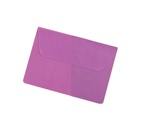 Document Envelope