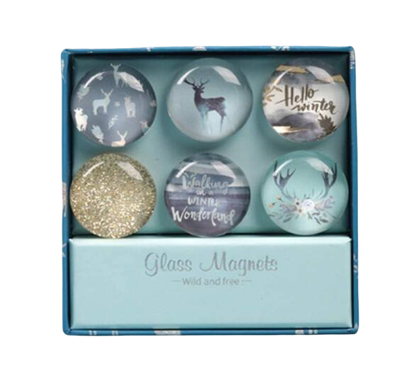 6 Pack Round Glass Refrigerator Magnet St