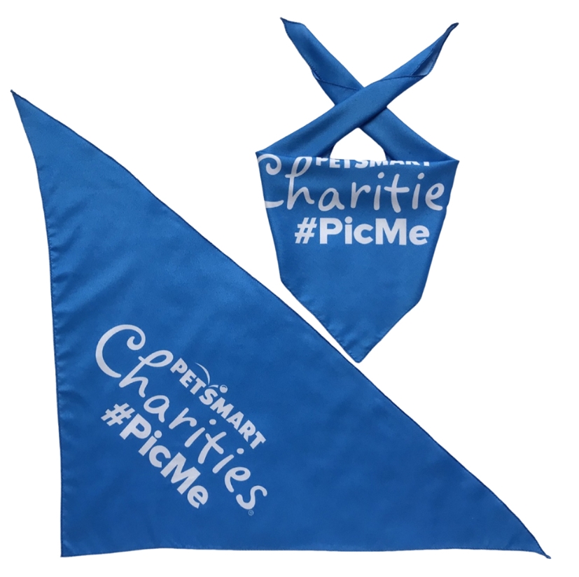 Cheveux tête bandana