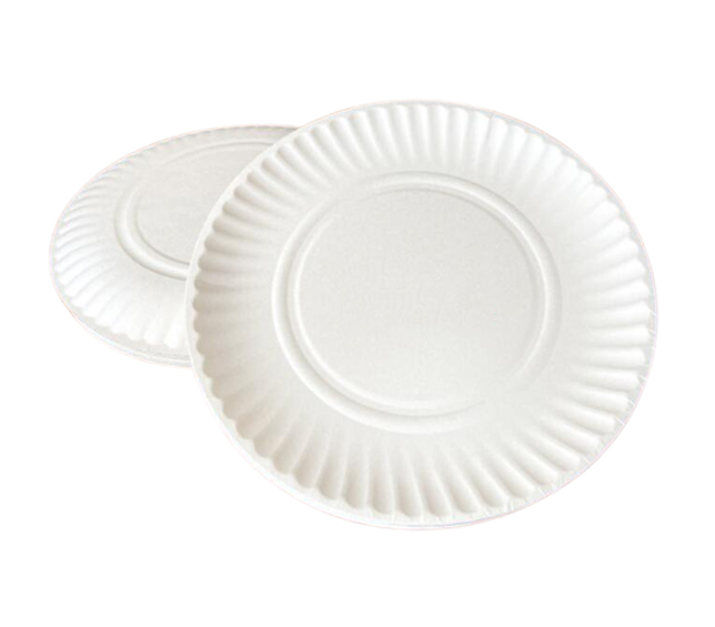 Disposable Paper Plate
