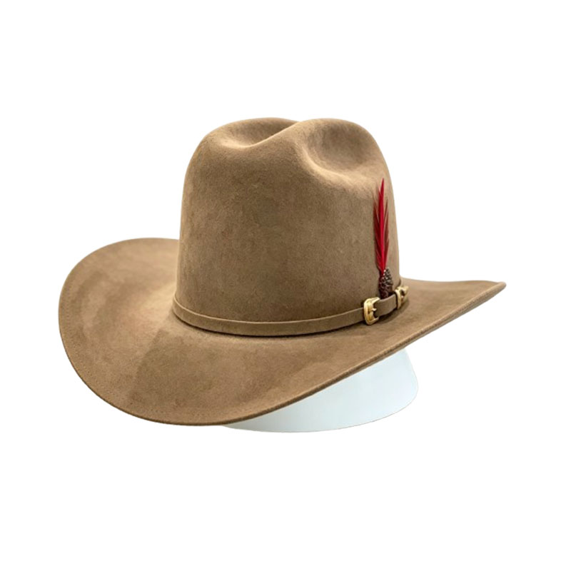 Feutre chapeau de cowboy occidental avec décoration plume