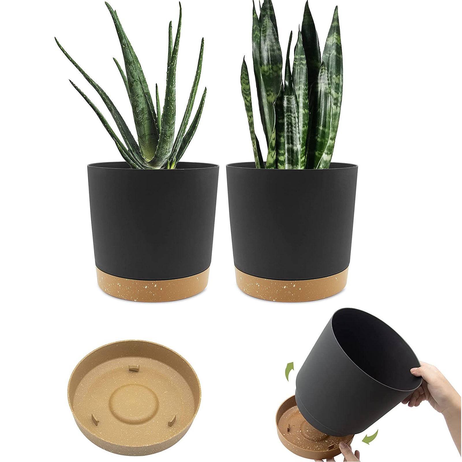 Planter de 8 pouces pour plantes intérieures