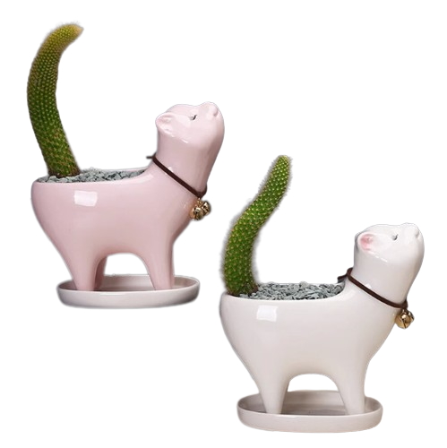 Mignon chat succulent pot de plante avec plateau