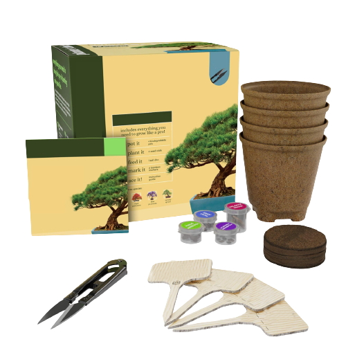 Herbs Growing Kit