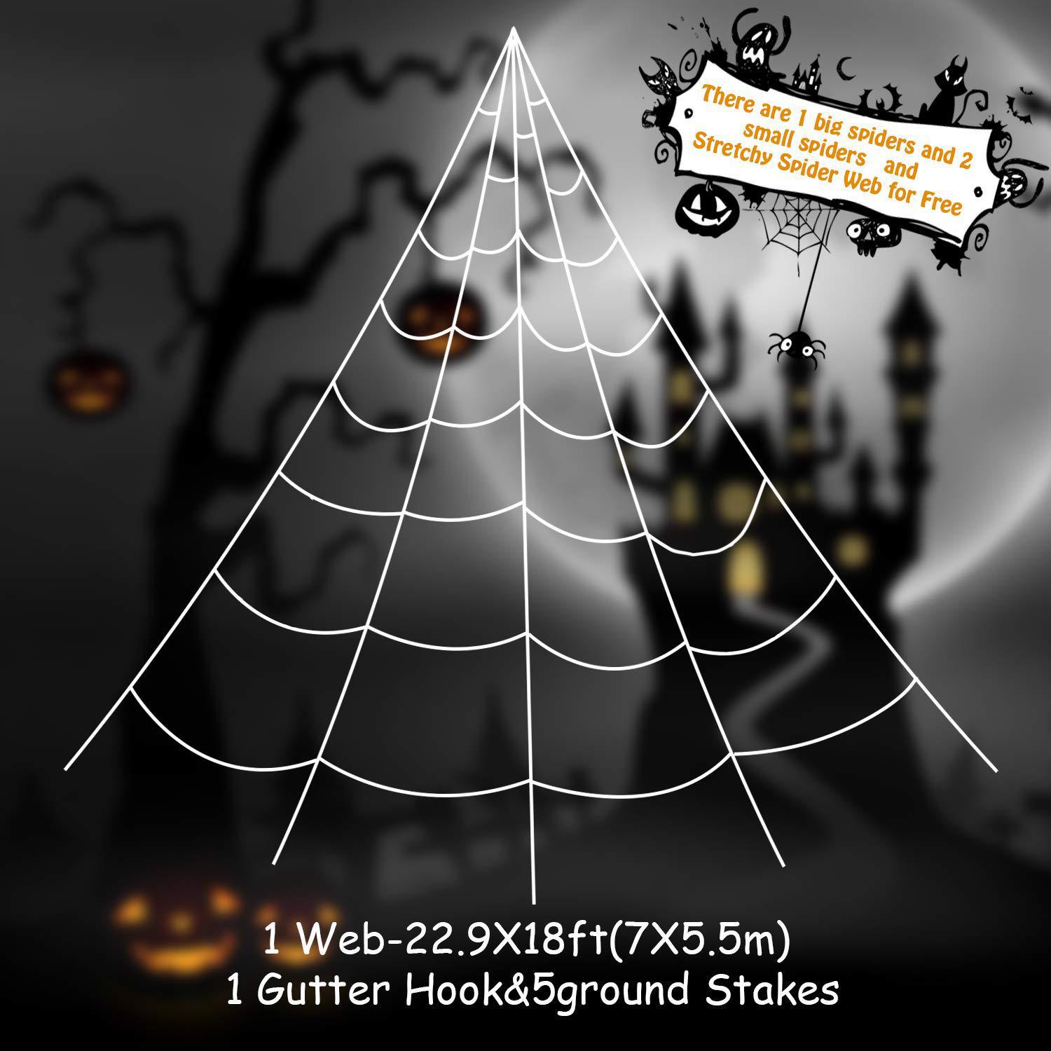 Spider Web