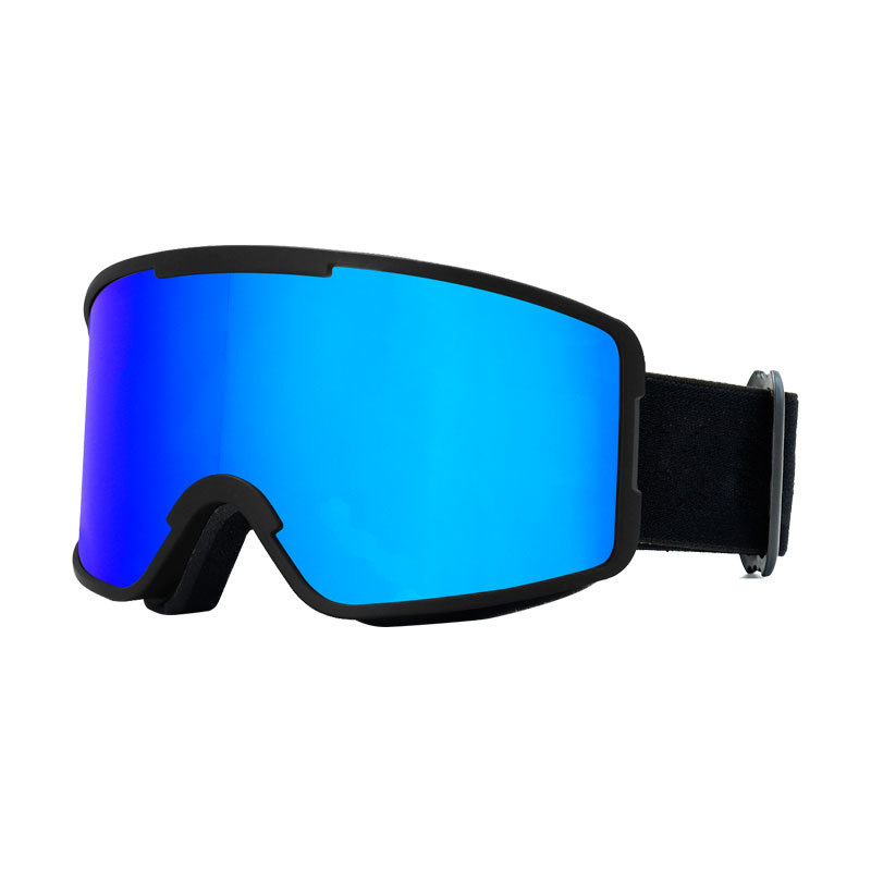 Goggle de ski