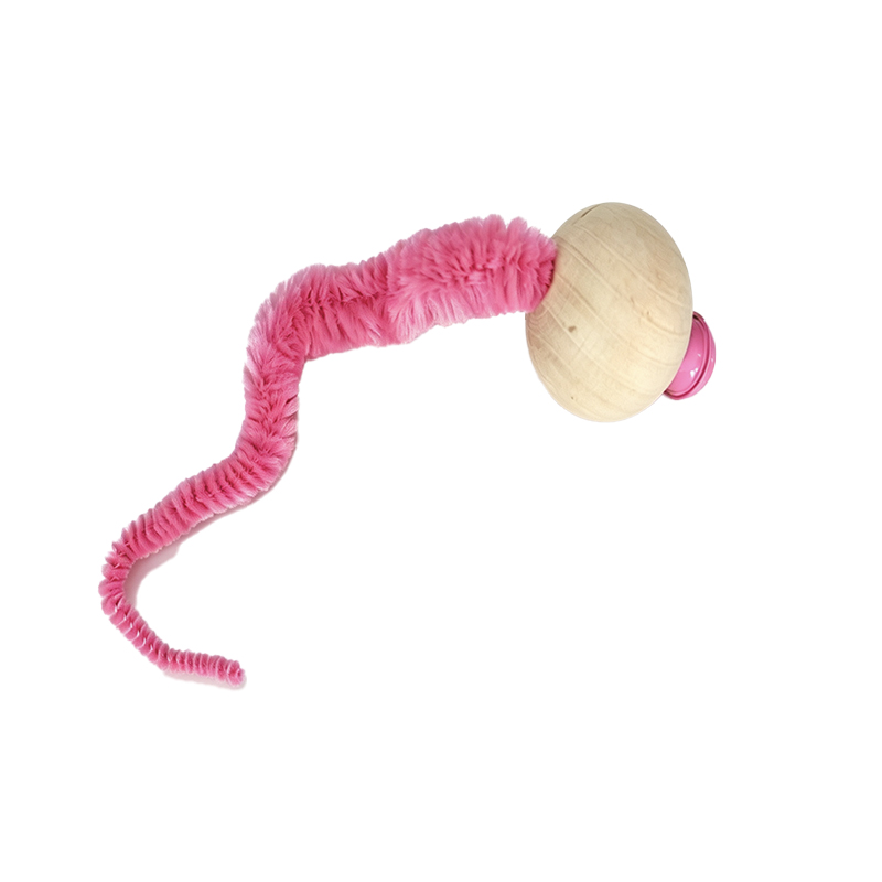 Cat Worm Toy